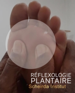 Réflexologie plantaire - Institut Scheirda